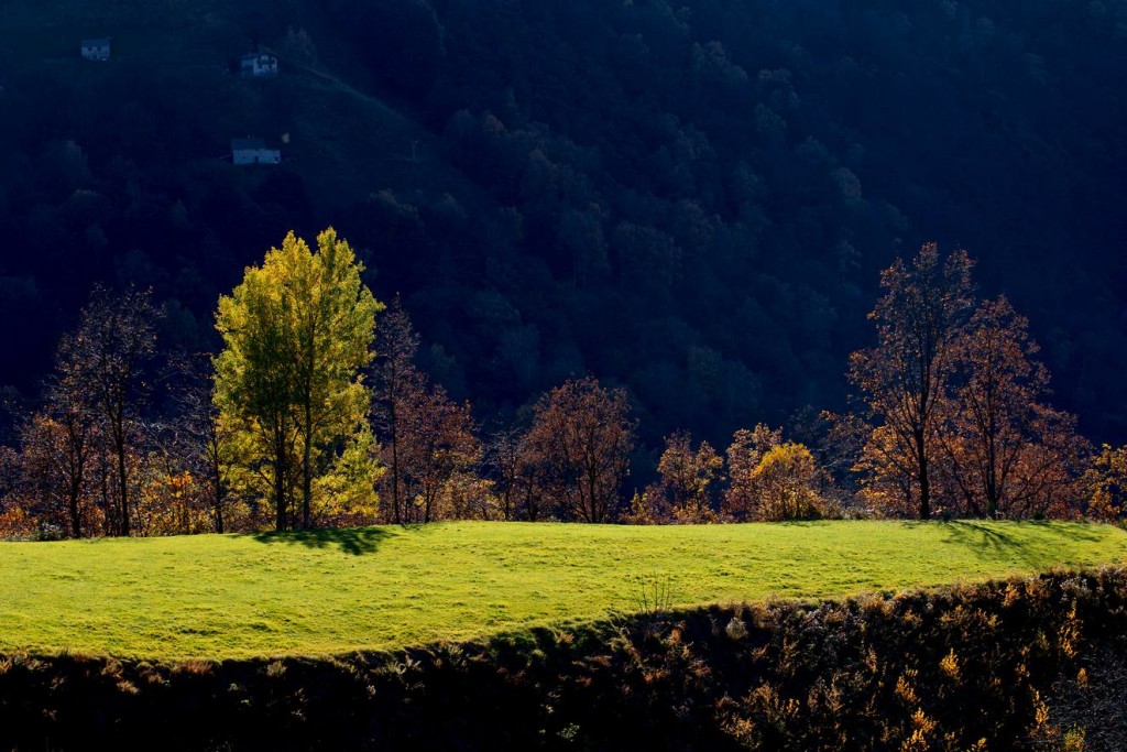 Via del Ferro - Punto di vista Crest di Vellano